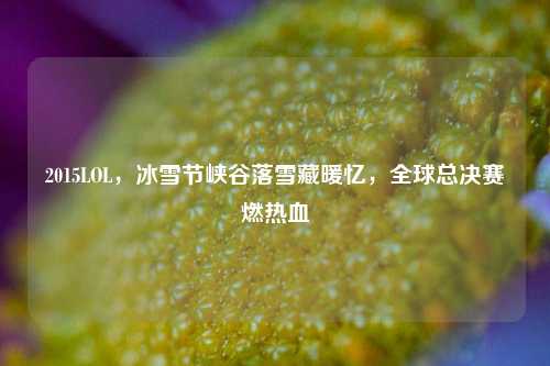 2015LOL，冰雪节峡谷落雪藏暖忆，全球总决赛燃热血