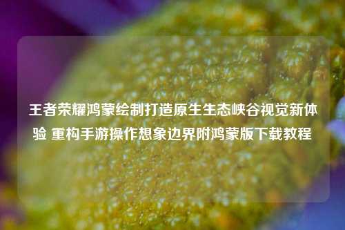 王者荣耀鸿蒙绘制打造原生生态峡谷视觉新体验 重构手游操作想象边界附鸿蒙版下载教程