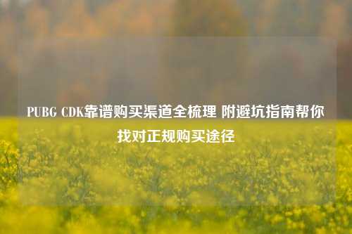 PUBG CDK靠谱购买渠道全梳理 附避坑指南帮你找对正规购买途径