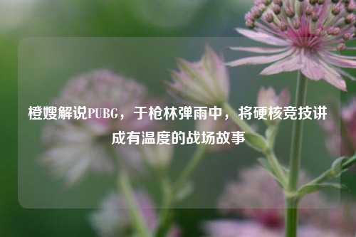 橙嫂解说PUBG,于枪林弹雨中,将硬核竞技讲成有温度的战场故事