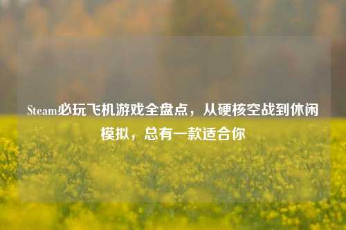 Steam必玩飞机游戏全盘点,从硬核空战到休闲模拟,总有一款适合你