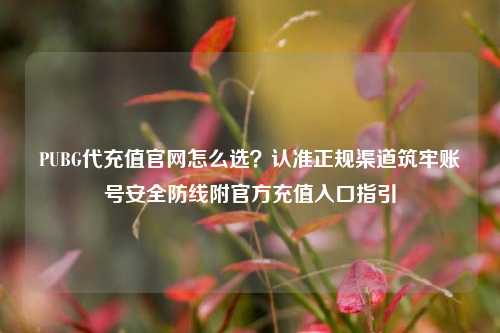 PUBG代充值官网怎么选？认准正规渠道筑牢账号安全防线附官方充值入口指引