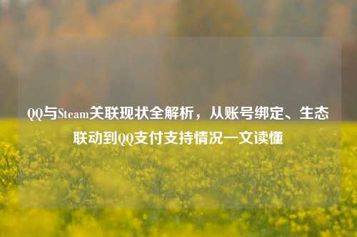 QQ与Steam关联现状全解析，从账号绑定、生态联动到QQ支付支持情况一文读懂