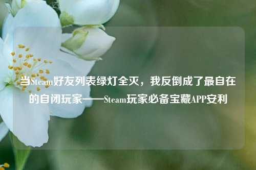 当Steam好友列表绿灯全灭，我反倒成了最自在的自闭玩家——Steam玩家必备宝藏APP安利