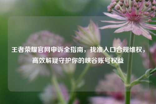 王者荣耀官网申诉全指南，找准入口合规维权，高效解疑守护你的峡谷账号权益