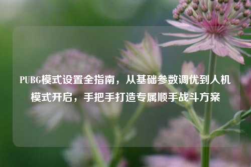 PUBG模式设置全指南,从基础参数调优到人机模式开启,手把手打造专属顺手战斗方案