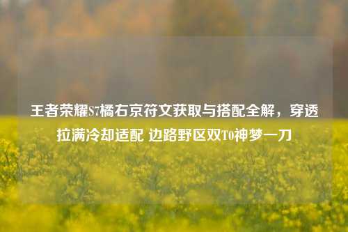 王者荣耀S7橘右京符文获取与搭配全解,穿透拉满冷却适配 边路野区双T0神梦一刀