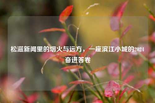 松滋新闻里的烟火与远方，一座滨江小城的2024奋进答卷