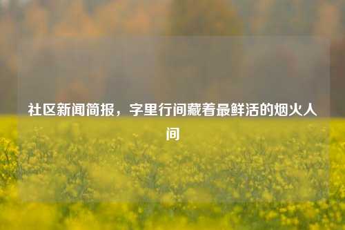社区新闻简报,字里行间藏着最鲜活的烟火人间