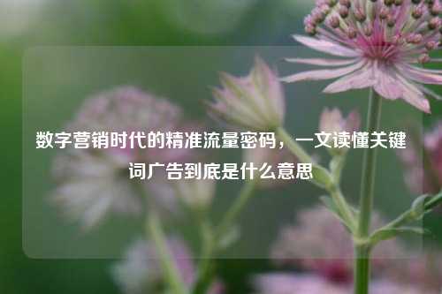 数字营销时代的精准流量密码,一文读懂关键词广告到底是什么意思