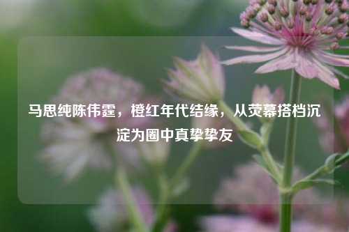 马思纯陈伟霆,橙红年代结缘,从荧幕搭档沉淀为圈中真挚挚友