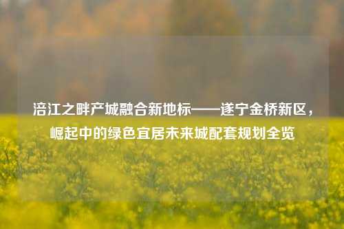 涪江之畔产城融合新地标——遂宁金桥新区，崛起中的绿色宜居未来城配套规划全览