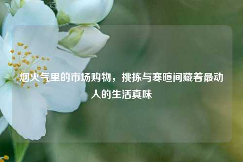 烟火气里的市场购物,挑拣与寒暄间藏着最动人的生活真味
