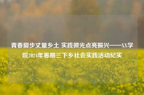 青春脚步丈量乡土 实践微光点亮振兴——XX学院2024年暑期三下乡社会实践活动纪实