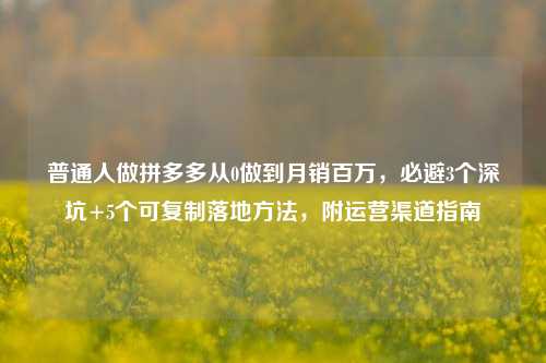 普通人做拼多多从0做到月销百万,必避3个深坑+5个可复制落地方法,附运营渠道指南