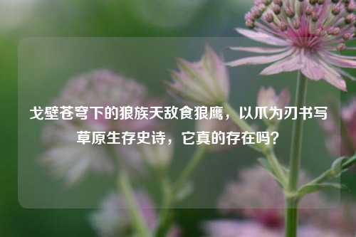 戈壁苍穹下的狼族天敌食狼鹰，以爪为刃书写草原生存史诗，它真的存在吗？