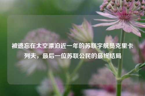被遗忘在太空漂泊近一年的苏联宇航员克里卡列夫,最后一位苏联公民的最终结局
