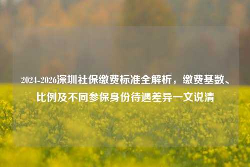 2024-2026深圳社保缴费标准全解析,缴费基数、比例及不同参保身份待遇差异一文说清
