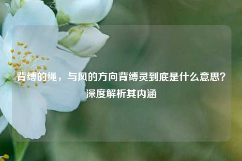 背缚的绳，与风的方向背缚灵到底是什么意思？深度解析其内涵