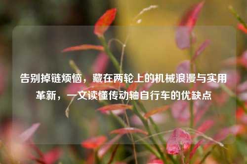 告别掉链烦恼，藏在两轮上的机械浪漫与实用革新，一文读懂传动轴自行车的优缺点