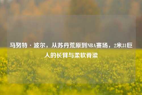 马努特·波尔,从苏丹荒原到NBA赛场,2米31巨人的长臂与柔软脊梁