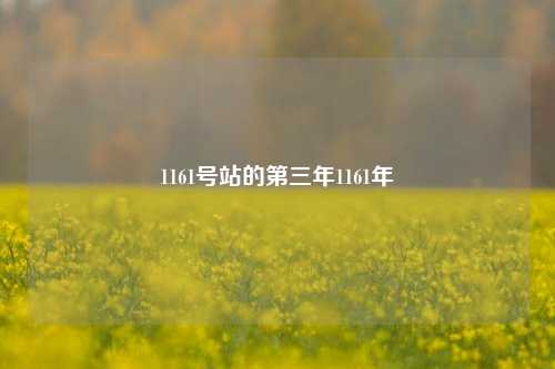 1161号站的第三年1161年