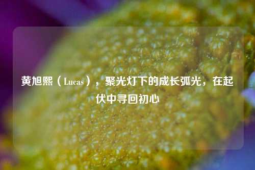 黄旭熙（Lucas），聚光灯下的成长弧光，在起伏中寻回初心