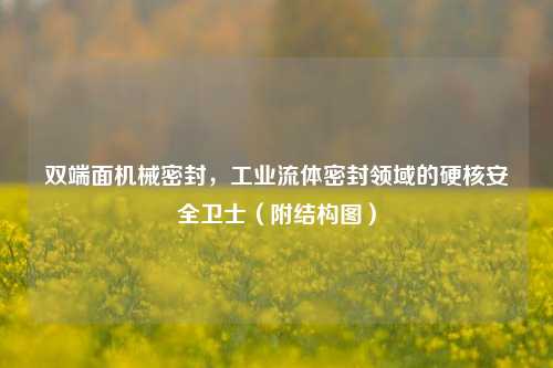 双端面机械密封，工业流体密封领域的硬核安全卫士（附结构图）