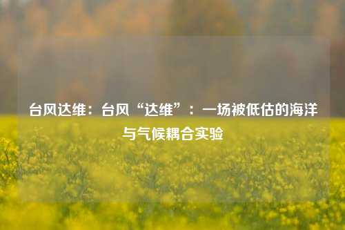 台风达维:台风“达维”:一场被低估的海洋与气候耦合实验