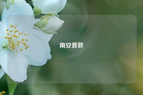 南安普敦