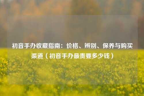 初音手办收藏指南:价格、辨别、保养与购买渠道(初音手办最贵要多少钱)