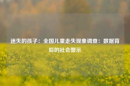 迷失的孩子：全国儿童走失现象调查：数据背后的社会警示
