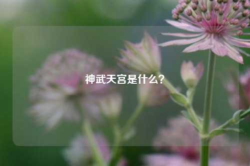 神武天宫是什么？
