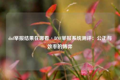 dnf举报结果在哪看·DNF举报系统测评：公正与效率的博弈