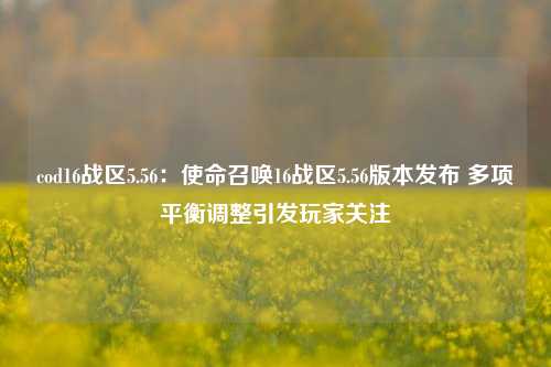 cod16战区5.56：使命召唤16战区5.56版本发布 多项平衡调整引发玩家关注
