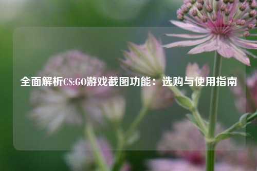全面解析CS:GO游戏截图功能：选购与使用指南