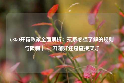 CSGO开箱政策全面解析:玩家必须了解的规则与限制|csgo开箱好还是直接买好
