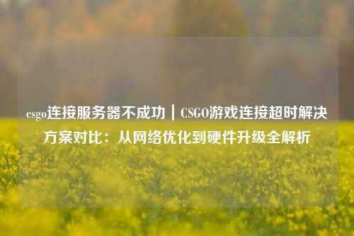 csgo连接服务器不成功｜CSGO游戏连接超时解决方案对比：从网络优化到硬件升级全解析