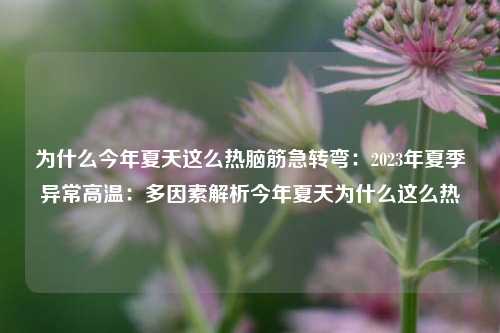为什么今年夏天这么热脑筋急转弯:2023年夏季异常高温:多因素解析今年夏天为什么这么热