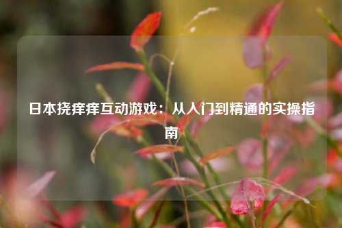 日本挠痒痒互动游戏：从入门到精通的实操指南