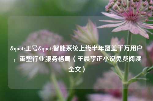 "王号"智能系统上线半年覆盖千万用户，重塑行业服务格局（王晨李正小说免费阅读全文）
