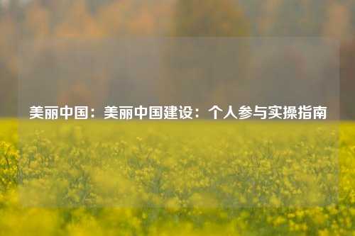 美丽中国:美丽中国建设:个人参与实操指南